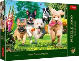 puzzle-1000-elementow-premium-plus-quality-tea-time-nadchodza-klopoty