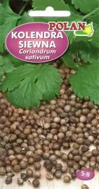 nasiona-kolendra-siewna-5g-polan-miododajna-114103