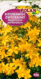 nasiona-dziurawiec-zwyczajny-02g-polan-114554