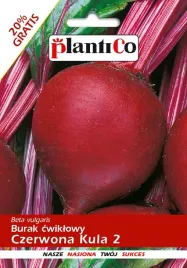 nasiona-burak-cwiklowy-czerwona-kula-2-noe-12g-plantico-403413