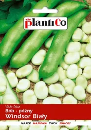 nasiona-bob-windsor-bialy-50g-plantico-407534