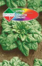nasiona-szpinak-olbrzym-zimowy-20g-spojnia-331356