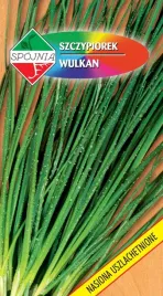 nasiona-szczypiorek-ogrodowy-wulkan-2g-spojnia-324631