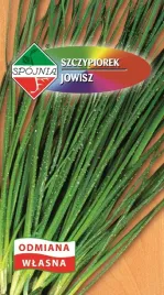 nasiona-szczypiorek-jowisz-2g-spojnia-odmiana-bardzo-plenna-325300