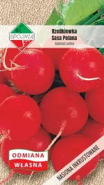 nasiona-rzodkiewka-saxa-polana-5g-spojnia-400755