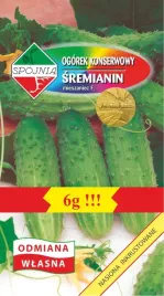 nasiona-ogorek-gruntowy-sremianin-mieszaniec-6g-spojnia-400328