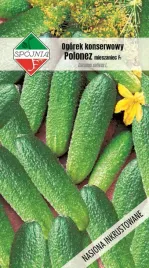 nasiona-ogorek-gruntowy-polonez-mieszaniec-5g-spojnia-400601