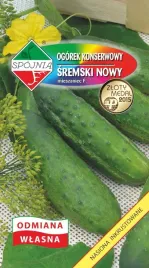 nasiona-ogorek-gruntowy-sremski-nowy-mieszaniec-5g-spojnia-400298