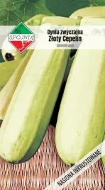 nasiona-dynia-zwyczajna-kabaczek-zloty-cepelin-5g-spojnia-324884