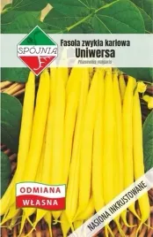 nasiona-fasola-zwykla-karlowata-uniwersalna-44g-spojnia-zolta-700251