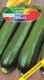 nasiona-dynia-zwyczajna-cukinia-soraya-5g-spojnia-400595