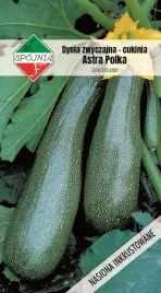 nasiona-dynia-zwyczajna-cukinia-astra-polka-5g-spojnia-400571