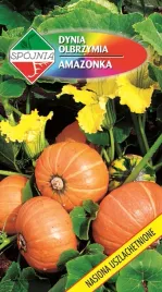 nasiona-dynia-olbrzymia-amazonka-5g-spojnia-332834
