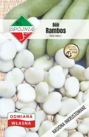 nasiona-bob-rambos-50g-spojnia-wczesna-odmiana-duze-nasiona-602036