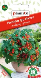 nasiona-pomidor-koktajlowy-cherry-vilma-01g-plantico-do-salatek-426504
