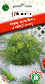 nasiona-koper-ogrodowy-2g-plantico-na-balkon-taras-426535