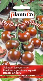 nasiona-pomidor-koktajlowy-black-cherry-02g-plantico-do-salatek-405639