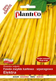 nasiona-fasola-szparagowa-karlowa-elektra-48g-plantico-zolta-407671