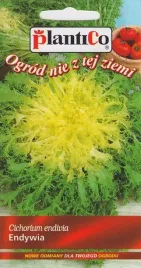 nasiona-endywia-riccia-cuor-d-oro-02g-plantico-404762