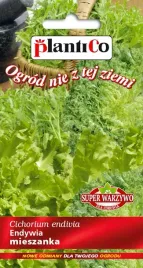 nasiona-endywia-mieszanka-mix-03g-plantico-404786