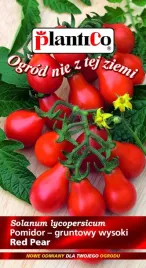 nasiona-pomidor-gruntowy-red-pear-wysoki-koktajlowy-02g-plantico-405271