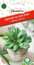 nasiona-szpinak-mieszaniec-na-ciete-listki-balkon-taras-5g-plantico-426375