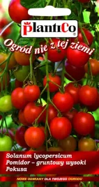 nasiona-pomidor-gruntowy-wysoki-pokusa-05g-plantico-405257