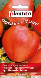 nasiona-pomidor-gruntowy-wysoki-bawole-serce-02g-plantico-405660