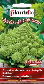 nasiona-kalafior-romanesco-natalino-02g-plantico-super-warzywo-402676