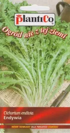 nasiona-endywia-romanesca-da-taglio-02g-plantico-404755