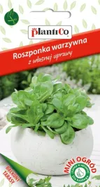 nasiona-roszponka-warzywna-05g-plantico-na-taras-balkon-426498