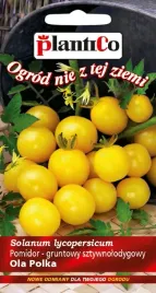 nasiona-pomidor-karlowy-gruntowy-ola-polka-zolty-05g-plantico-405684