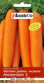 nasiona-marchew-jadalna-amsterdam-3-amsterdamska-noe-5g-plantico-403017
