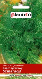 nasiona-koper-ogrodowy-szmaragd-5g-plantico-408050
