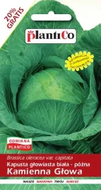 nasiona-kapusta-glowiasta-biala-kamienna-glowa-24g-plantico-402072
