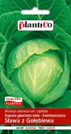nasiona-kapusta-glowiasta-biala-slawa-z-golebiewa-2g-plantico-402102
