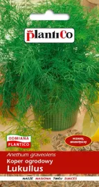 nasiona-koper-ogrodowy-lukullus-5g-plantico-408036