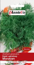 nasiona-koper-ogrodowy-moravan-5g-plantico-408029