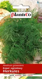 nasiona-koper-ogrodowy-herkules-5g-plantico-408098