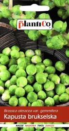 nasiona-kapusta-brukselska-groninger-1g-plantico-402508