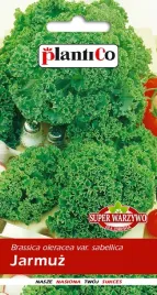 nasiona-jarmuz-kedzierzawy-zielony-2g-plantico-402805