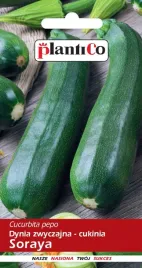 nasiona-dynia-zwyczajna-cukinia-soraya-3g-plantico-401761