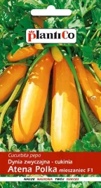 nasiona-dynia-zwyczajna-cukinia-atena-polka-2g-plantico-401723