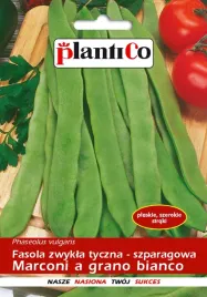 nasiona-fasola-szparagowa-tyczna-marconi-a-grano-bianco-10g-plantico-407978