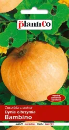 nasiona-dynia-olbrzymia-bambino-5g-plantico-401617