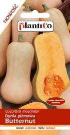 nasiona-dynia-pizmowa-butternut-2g-plantico-401860