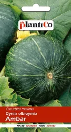 nasiona-dynia-olbrzymia-ambar-5g-plantico-401624