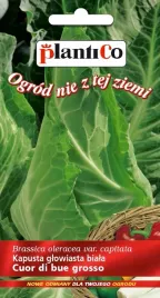 nasiona-kapusta-glowiasta-biala-stozkowa-cuor-di-bue-grosso-1g-plantico