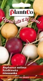nasiona-rzodkiewka-mieszanka-odmian-kulistych-mix-5g-plantico-406339