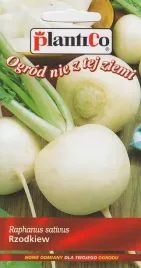 nasiona-rzodkiew-runder-weisser-5g-plantico-biala-406766